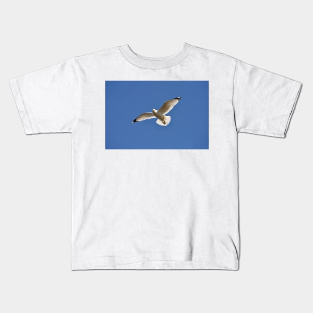 Seagull in flight Kids T-Shirt by srosu